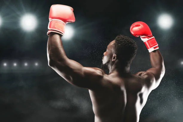 爱游戏体育赵雷霆击倒对手赢得全国精英赛冠军