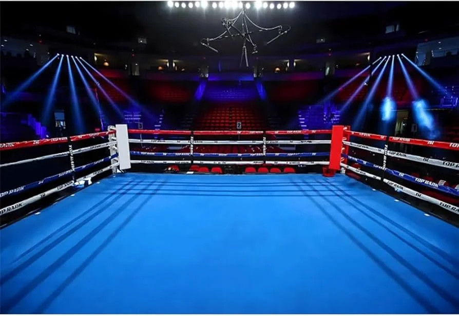 爱游戏体育拳击竞技场灯光效果